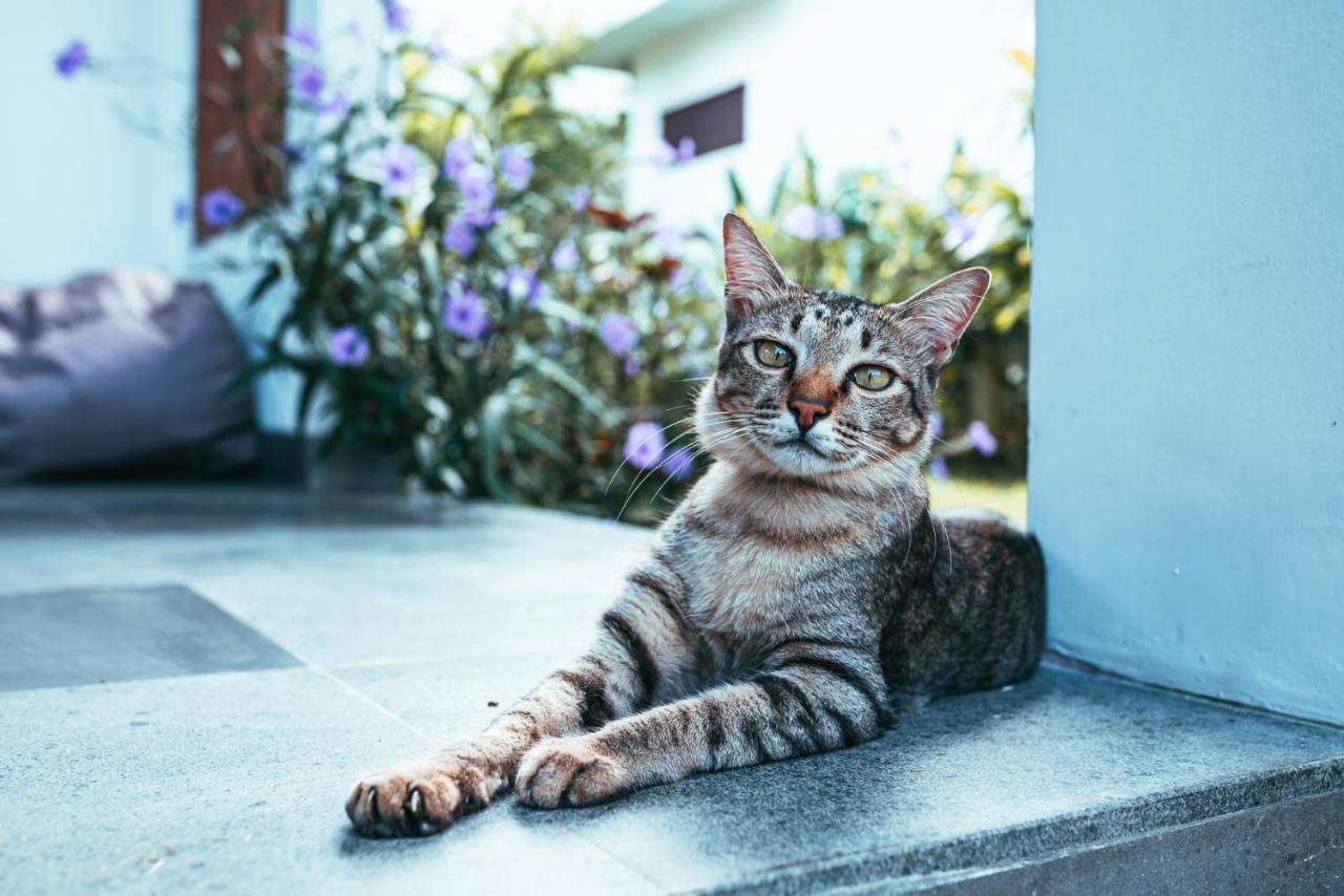 Bali Mynah Villas Resort ジンバラン エクステリア 写真