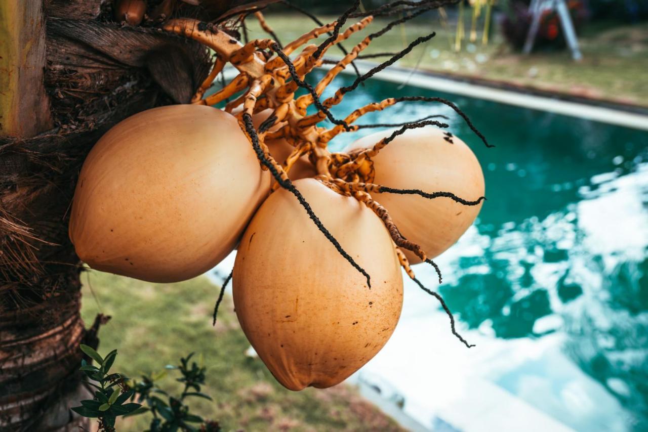 Bali Mynah Villas Resort ジンバラン エクステリア 写真